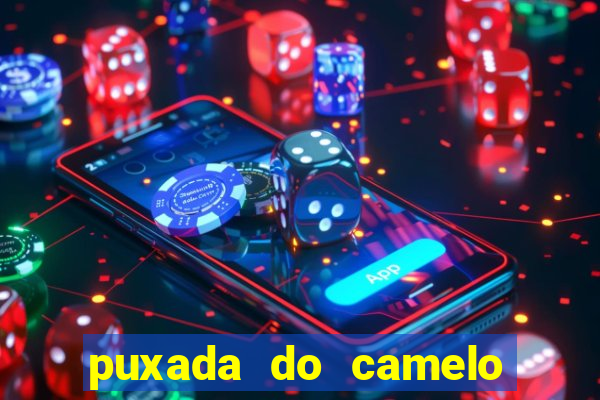 puxada do camelo no jogo do bicho